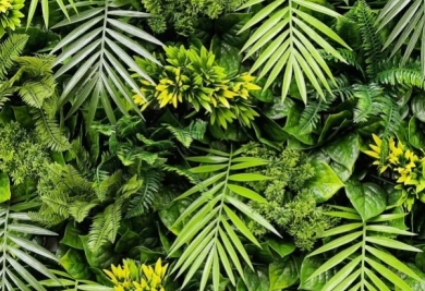 Le faux mur végétal Exotik : une solution idéale pour  Créer une ambiance tropicale